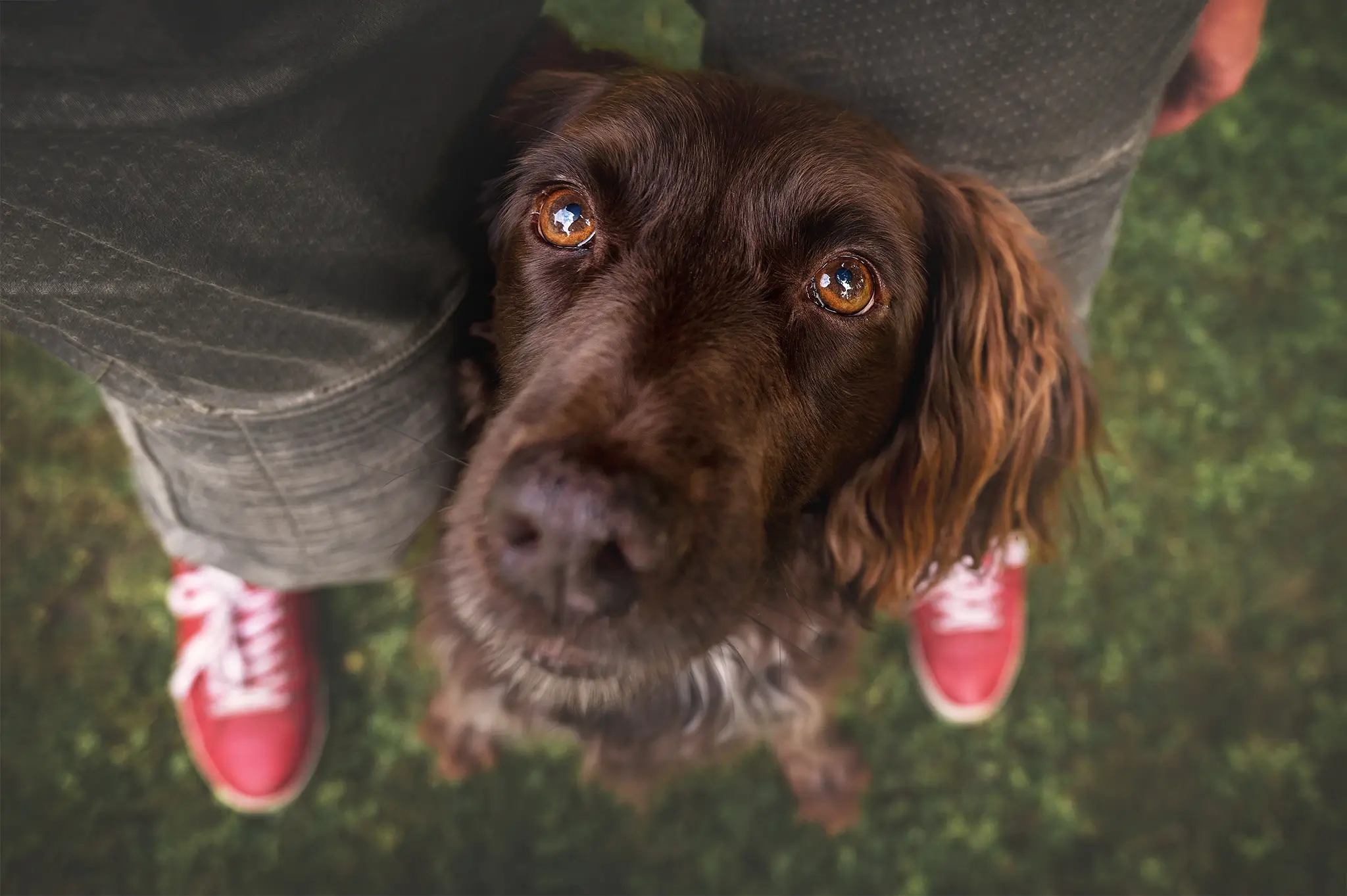 Tierfotografie Bremen