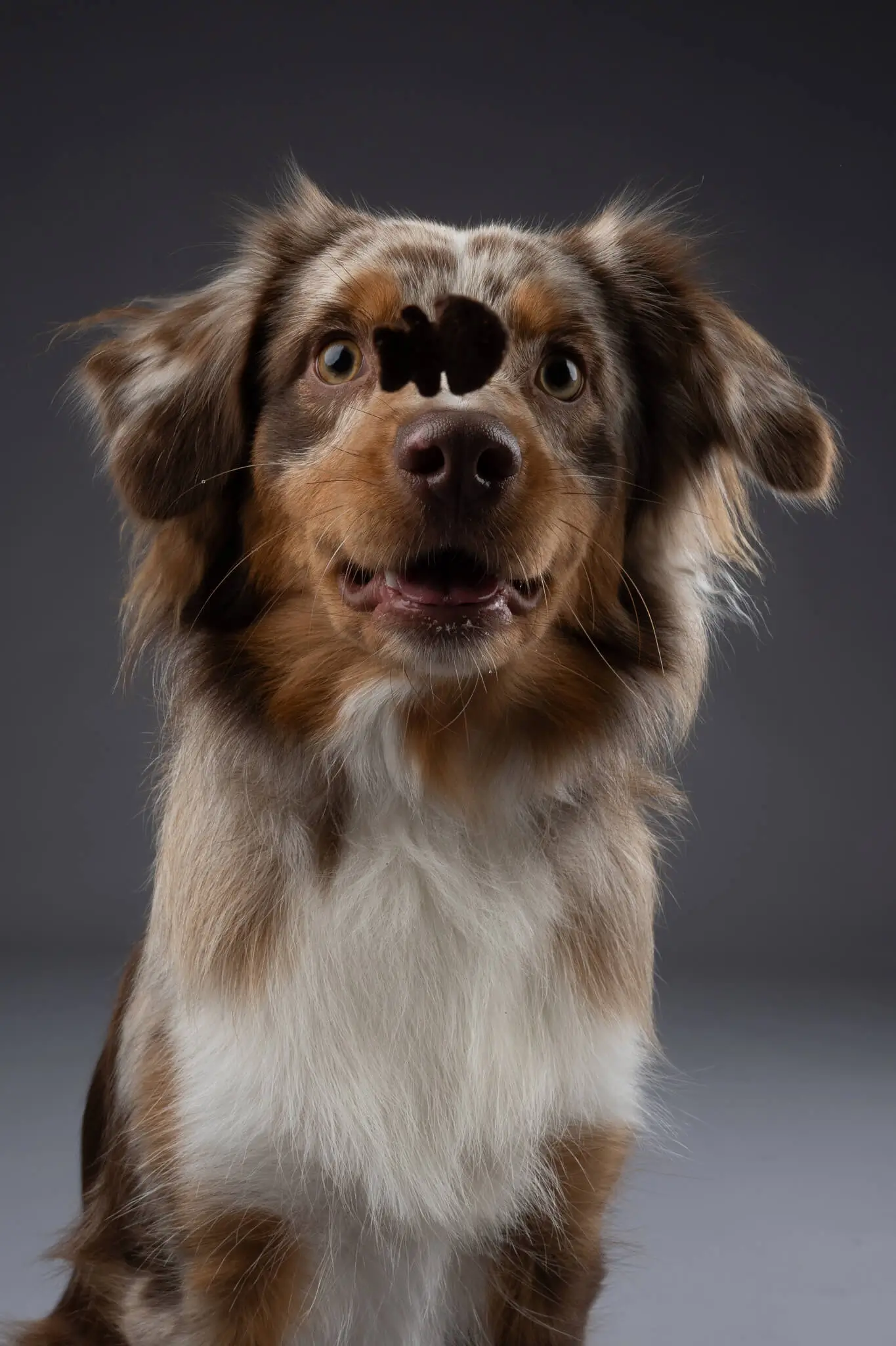 Bildbearbeitung Vergleich Vorher Nachher