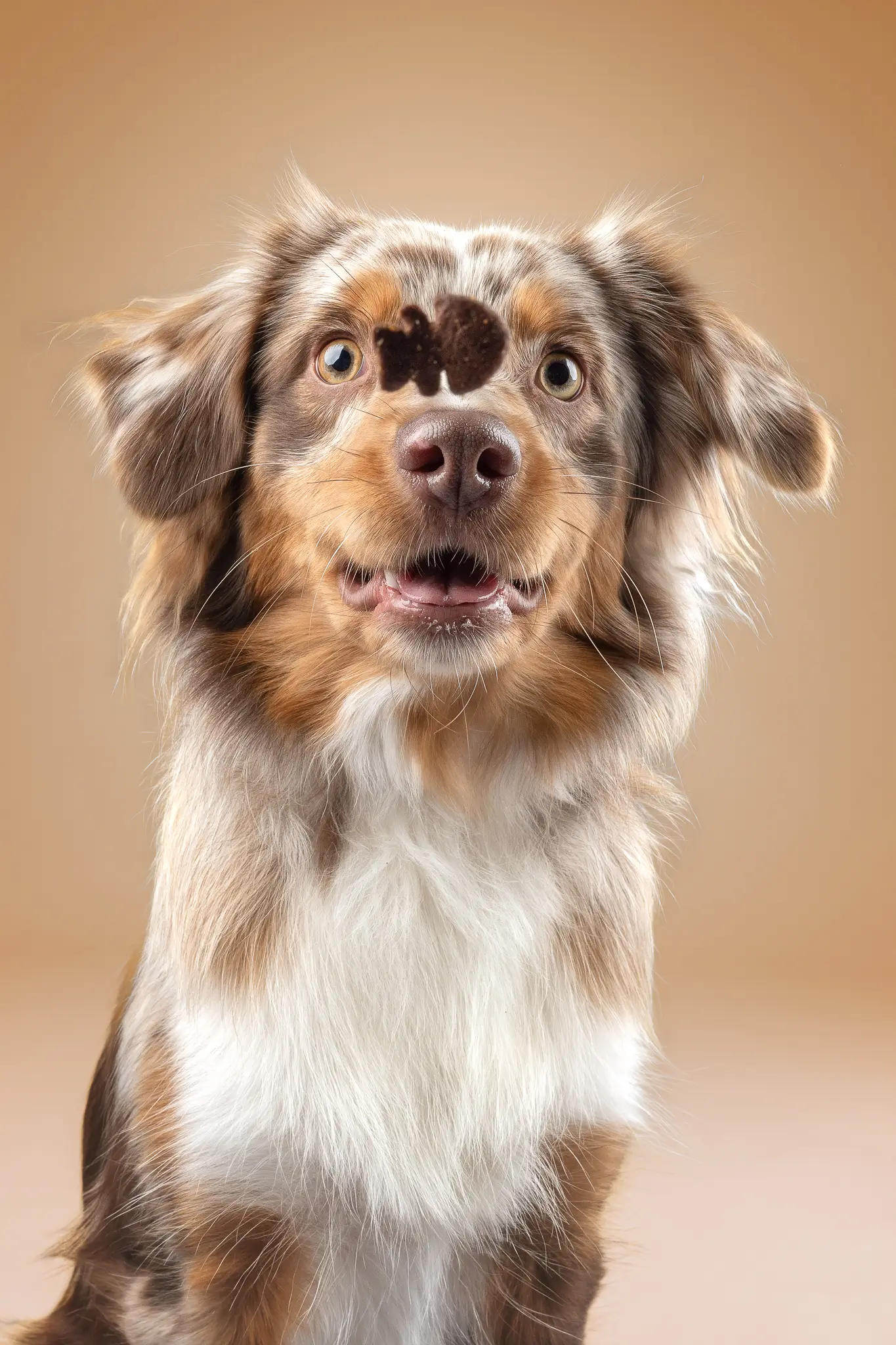 Schnappfoto im Fotostudio Landwedel bei Bremen